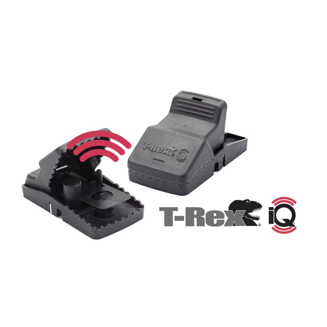 T-Rex iQ Rat Trap